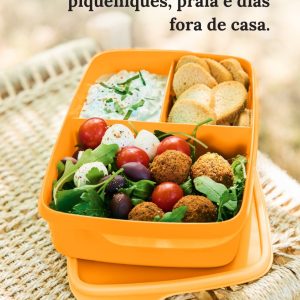 Snacks com divisórias retangular 1l